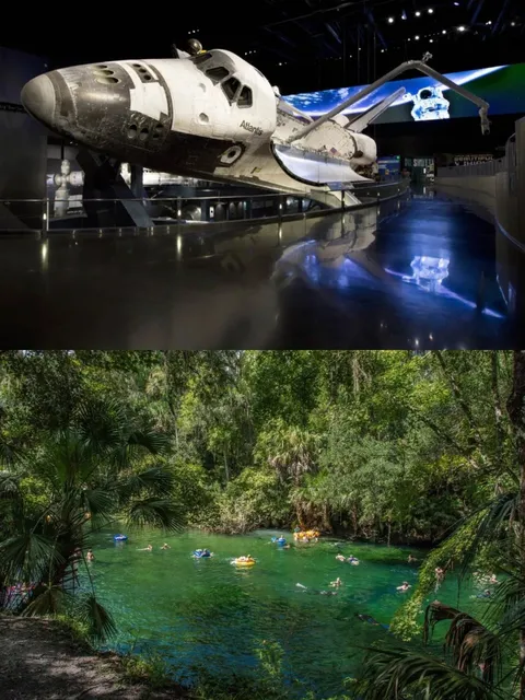 🇺🇸 Wish I’d Seen This Before Going to Orlando!