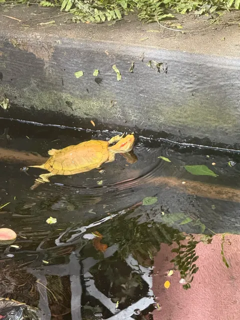 New Orleans Food & Drink Journey #3 – Brennan’s