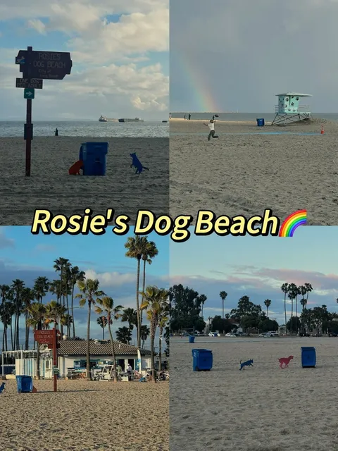 🇺🇸 Spotted a Lucky Rainbow at Long Beach Dog Beach｜Rosie’s 🐶🌈