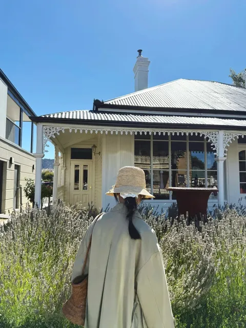 🇦🇺 Hobart’s Must-Visit Lavender Haven 💜