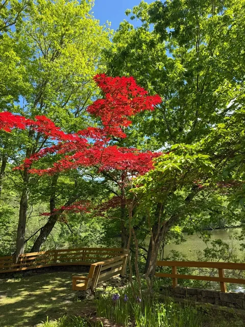 Free Kid-Friendly Getaway Near NYC