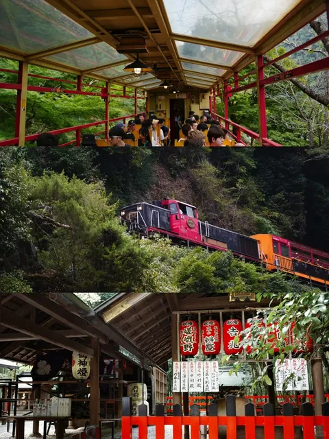  🌿 Kyoto's Hidden Gem