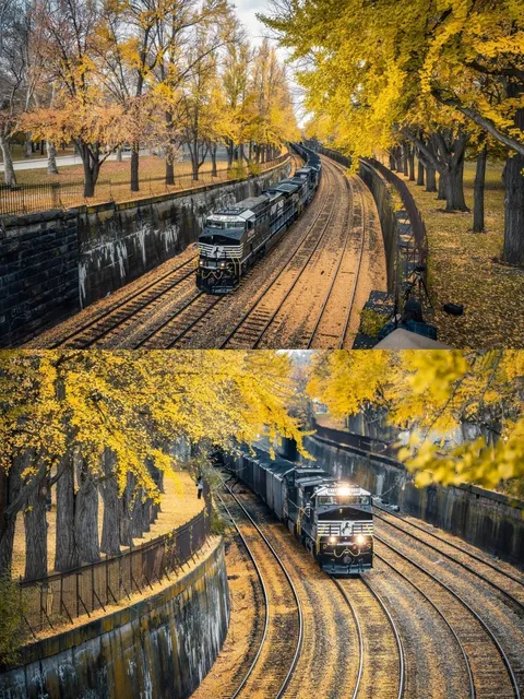 Pittsburgh｜Come Capture the Train Riding into Golden Fall! 🚂🍁