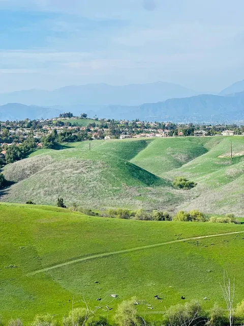 Chino Hills Eucalyptus Trails Hiking 🌿🥾 | A Perfect Family Escape