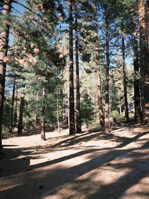 Summer Lake Tahoe 2-Day Itinerary Guide