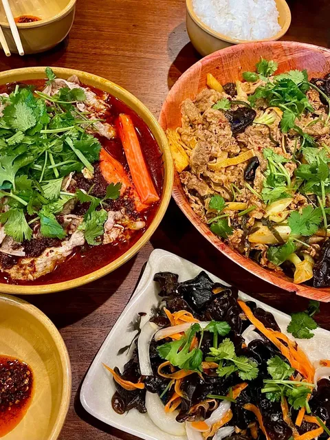 Help! Gained 5 Pounds in One Day in Austin! 🆘💢