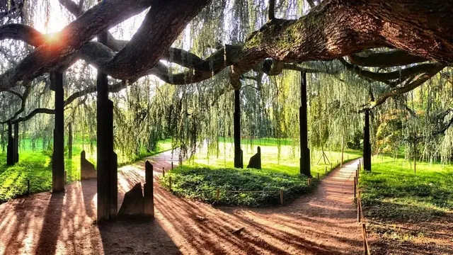 Vallée aux Loups Park in Paris | See the Majestic Cedar Trees 🌲✨