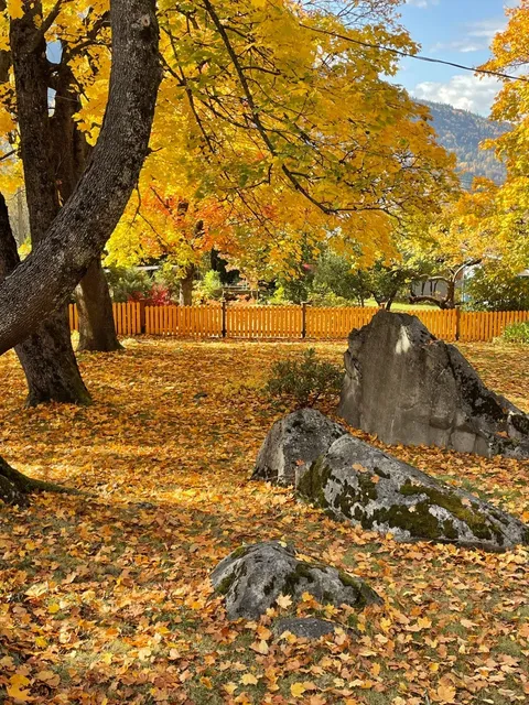 🌄 Reflections on Nelson 🌄