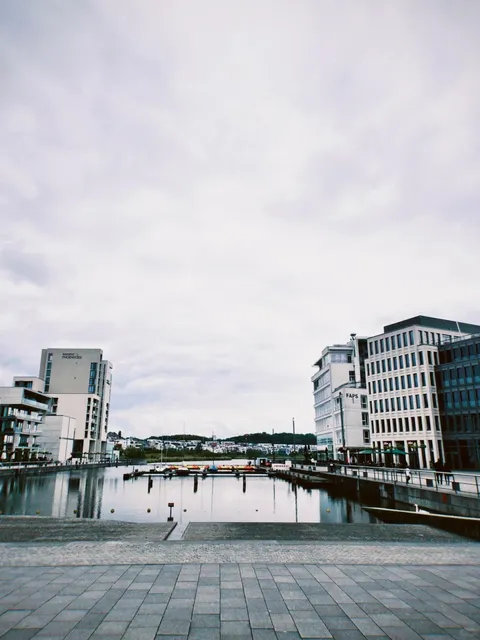 🇩🇪 Dortmund's Phoenix See: A Lakeside Oasis of Relaxation & Wildlife