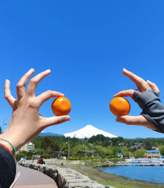 ​​Pucón, Chile | The Ultimate Guide to Chile's Most Enchanting Town 