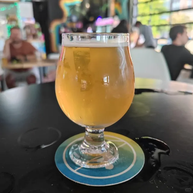 🍻 Charlotte Brewery Crawl: Hi-Wire Review (+ Tipsy Tales) 🎪