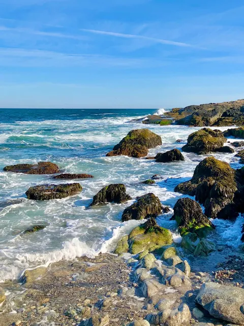 Newport Cliff Walk - Where Mansions Meet Ocean Drama 🏰🌊  