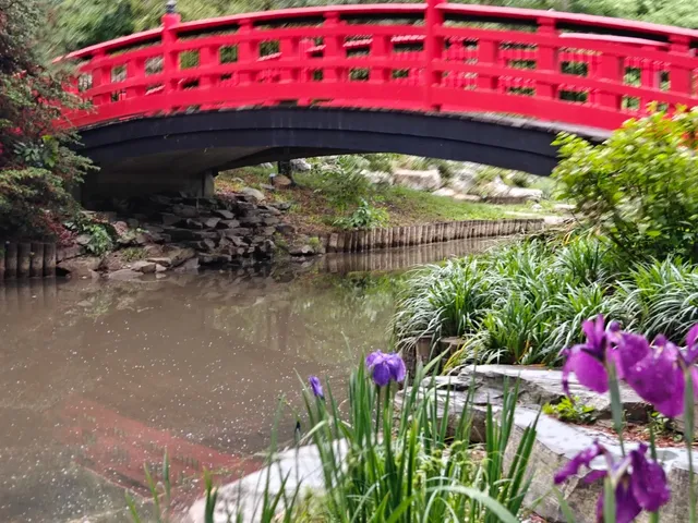 U.S. Travel Diary: May 9th – A Duke University Adventure 🏃‍♂️🎓