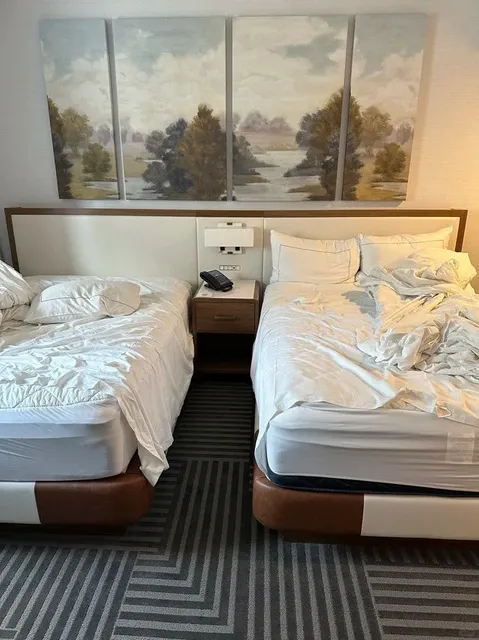 The Only Hotel I Recommend in Washington D.C.! 