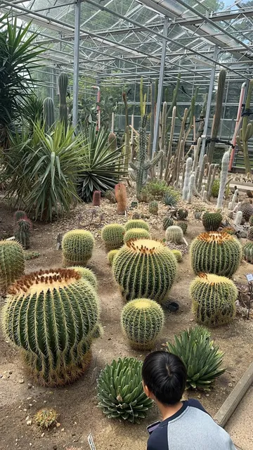 🌿 Debrecen University Botanical Garden - A Hidden Green Oasis!