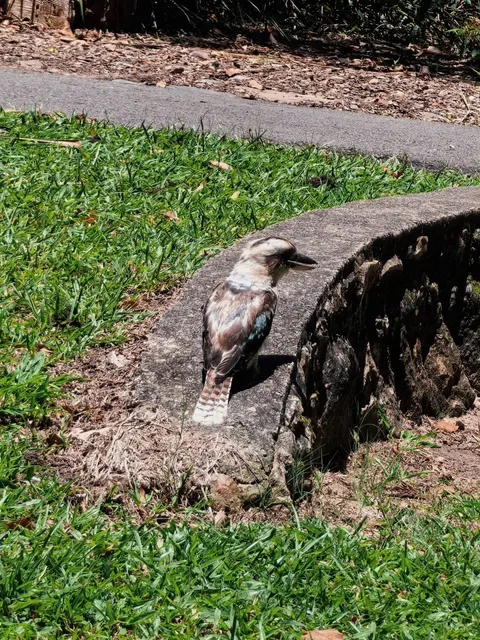Discover Your Perfect Noosa Retreat: Noosaville River Resort🌟 