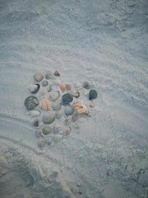 🌴 4 Days & 5 Nights in Tampa Travel Guide (Part 3) 🌞