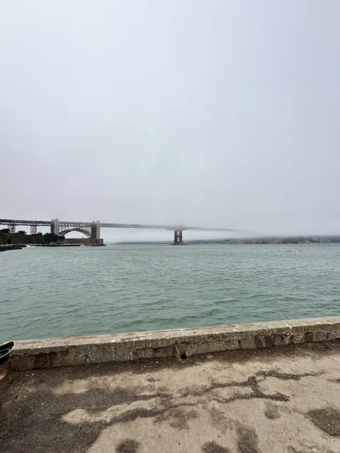 🦀 A Unique & Fun-Filled Adventure! 🌊