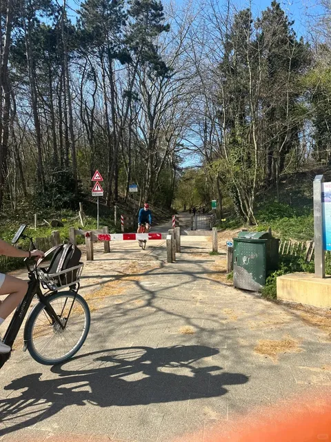 🇳🇱 Seal-Spotting Adventure in The Hague!