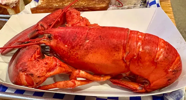 Bay Area | New England Lobster 🦞 So Good It's Addictive!