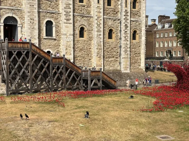 History of Glory, Honor & the Crown 🏰⚔️👑