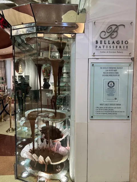 Bellagio's Chocolate Waterfall in Las Vegas 🍫🌊