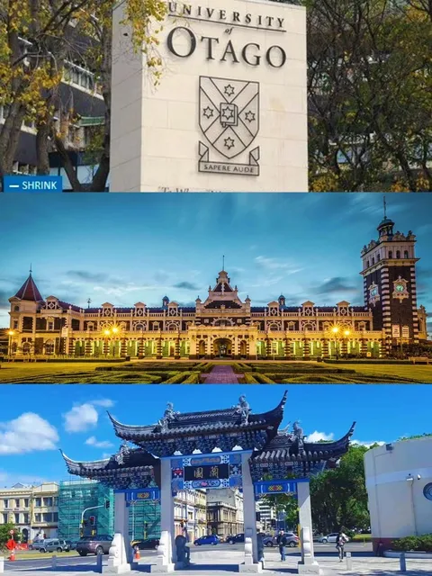 🏰 Dunedin Travel Guide: A Local's Itinerary (Step-by-Step!)