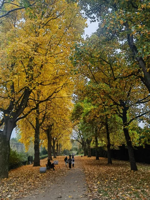 🏴󠁧󠁢󠁷󠁬󠁳󠁿 Cardiff Day Trip - Nov 2, 2024