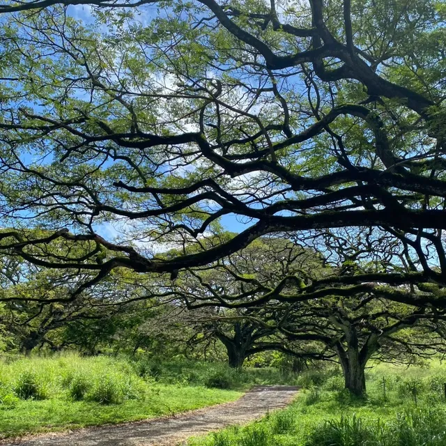 “Mountain-to-Sea” Itinerary