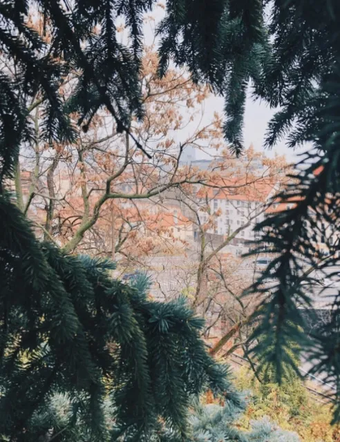 A Taste of Bratislava: Some Food Recommendations