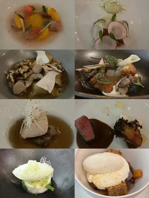 ✨ Bouillon Bilk | Montreal’s Hidden Michelin-Level French Gem! 🇫🇷🍽️