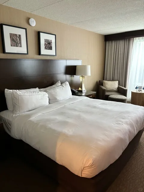 Boston Hotel Recommendation - Hilton Bayside 🏨🌊