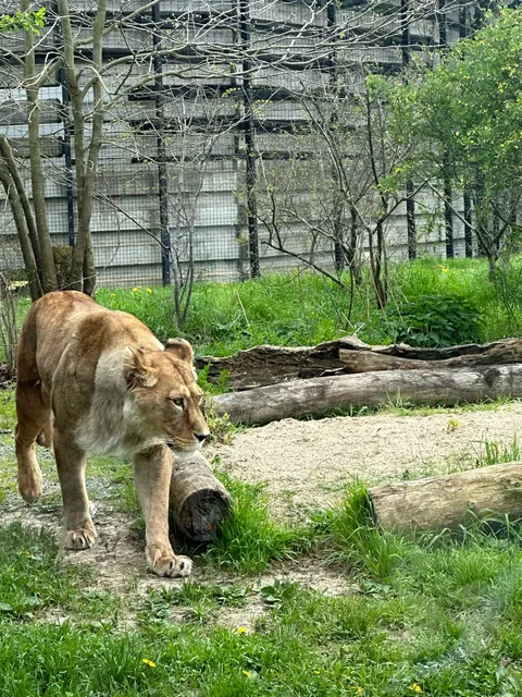 Who hasn't been to the Paris Zoo yet? 🐘🦁