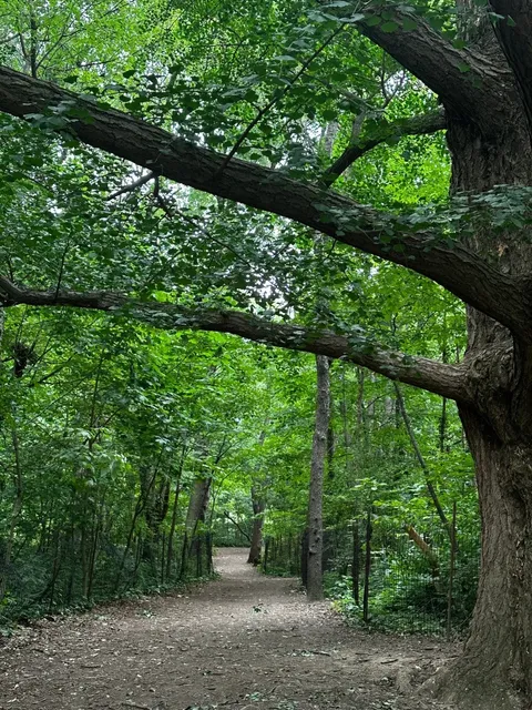 Prospect Park Adventure 🌳📸
