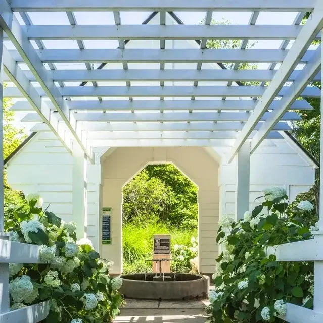 Hidden Gems of Indianapolis: 20 Underrated Nature Spots 🌿✨