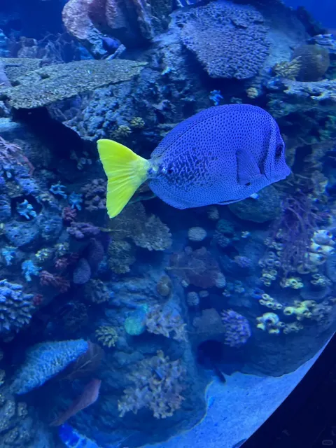 Welcome to Mazatlán! 🌊🌴 Your Ultimate Travel Guide by a Local