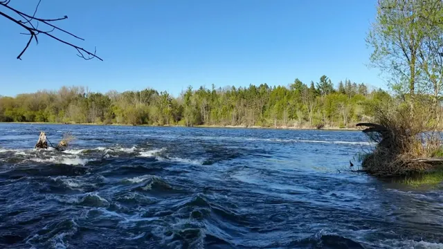​​🌲 Ottawa Camping Adventure with Kids - Fitzroy Provincial Park 🏕️​