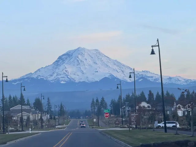 ✨Who can resist a gentle encounter with Mount Rainier in winter! 