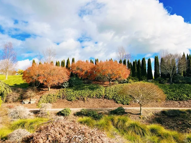🇳🇿 Rotorua – Obsessed with This Geothermal Wonderland!