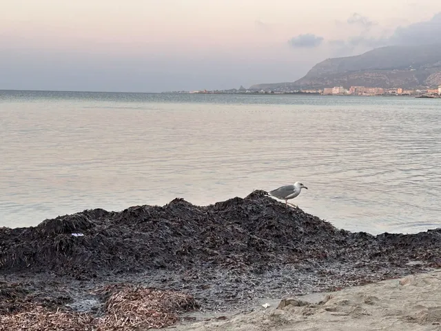 🇮🇹 Trapani, Sicily: A 4-Day Summer Escape ☀️🌊