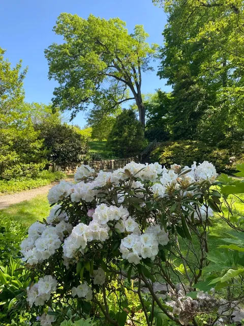🌷 Gardens, Music & Perfect Weather - A Blissful NYC Weekend Escape