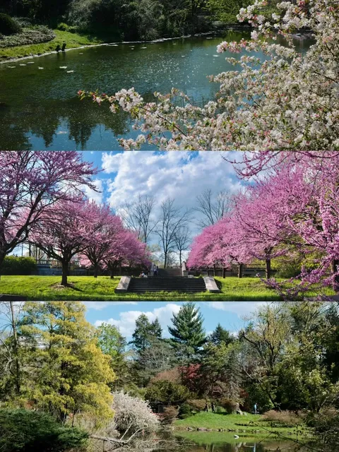 Spring Day Must-Cycle at Duke Farms in New Jersey 🚴