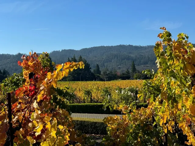 Sonoma Autumn Crush List 
