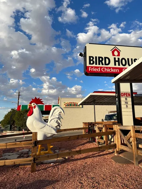 West Coast Road Trip | Page's Viral Fried Chicken 🍗