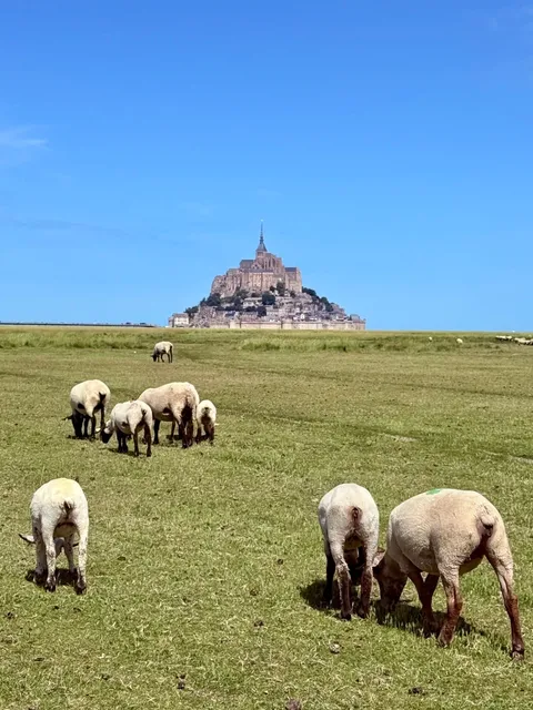 Weekend Escape from Paris 🌊🐑 | To Brittany's Seas & Meadows
