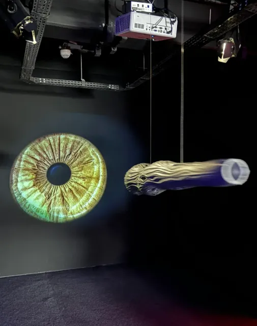 Sao Paulo 🇧🇷 See the exhibition | Smart Light Light and Human Percep