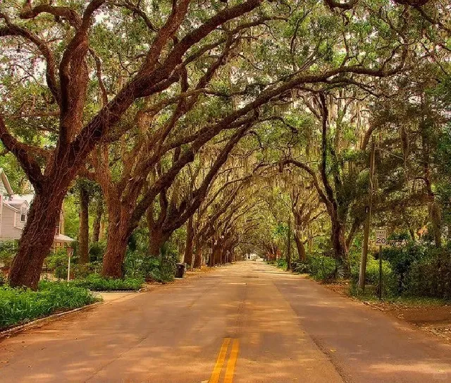 🇺🇸 St. Augustine | My Citywalk Route + Nights of Lights Guide ✨