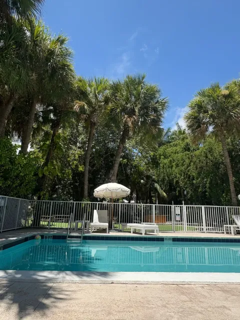 An Oasis in Downtown Miami! 🌴