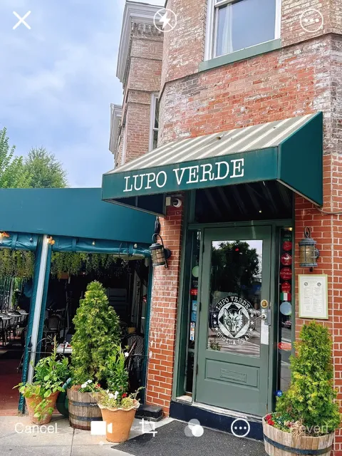 DMV's Pasta Spotlight: Lupo Verde 🍝