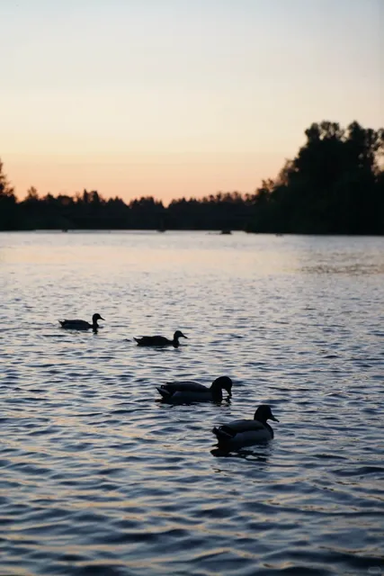 Two Days in Eugene, Oregon 🌲